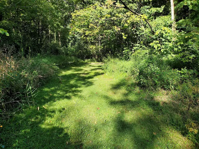 Alum Creek State Park Campground Picture 8