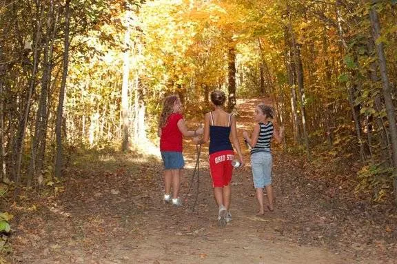 Cross Creek Camping Resort Picture 7