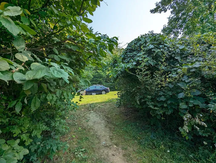 Alum Creek State Park Group Campsite Picture 10