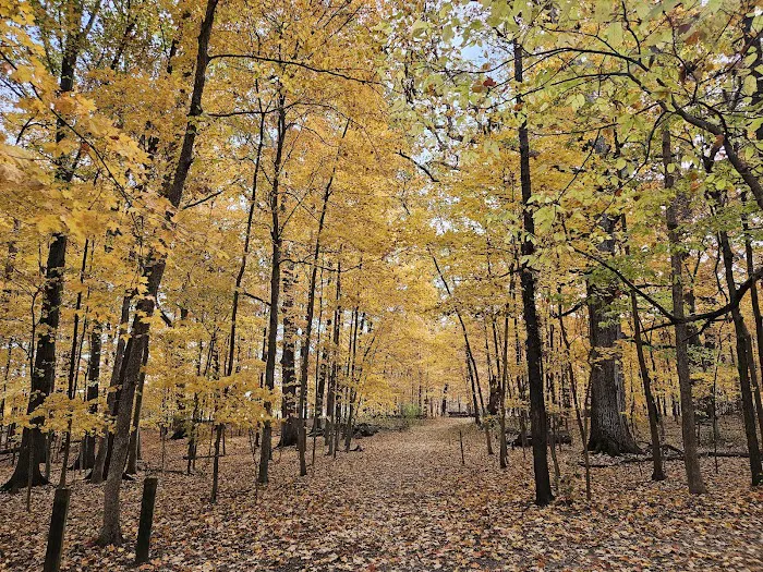 Delaware State Park Campground Picture 8
