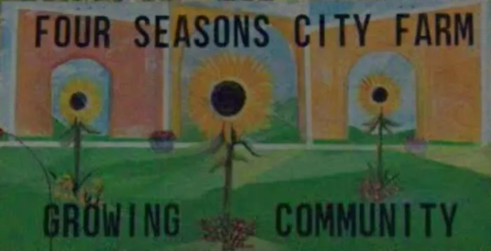 Camp Solstice Picture 1