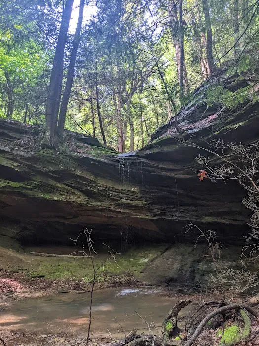 Nature's Way Picture 4