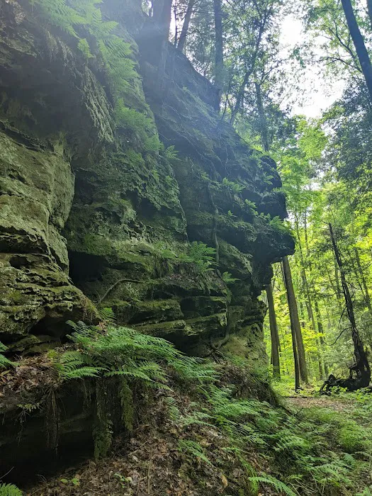 Nature's Way Picture 10