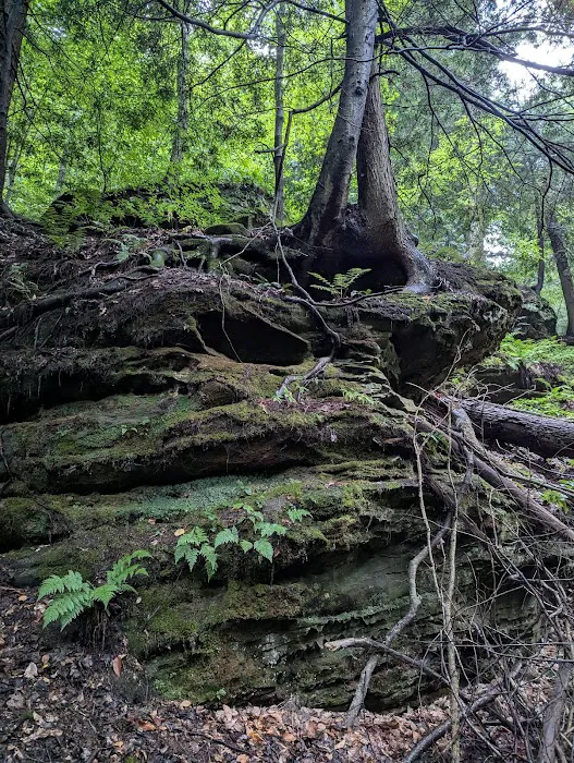 Nature's Way Picture 3