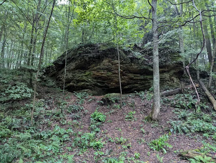 Nature's Way Picture 2