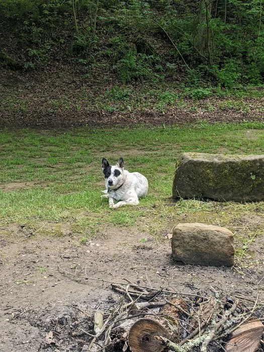 Nature's Way Picture 7