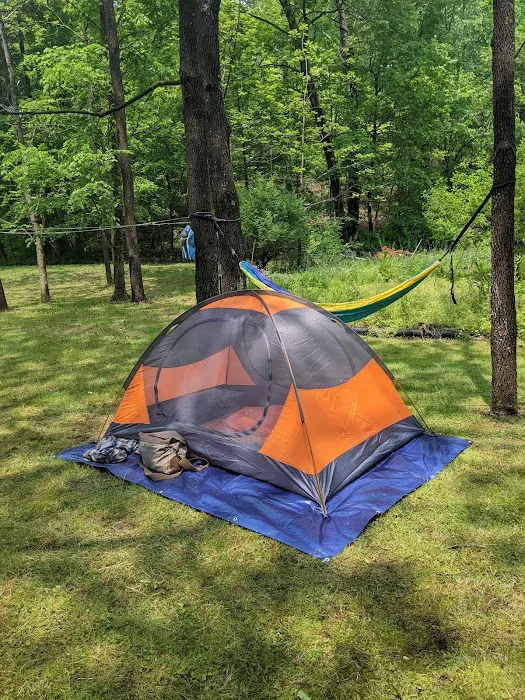 Nature's Way Picture 8