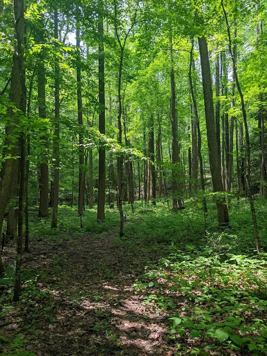 Nature's Way Picture 5