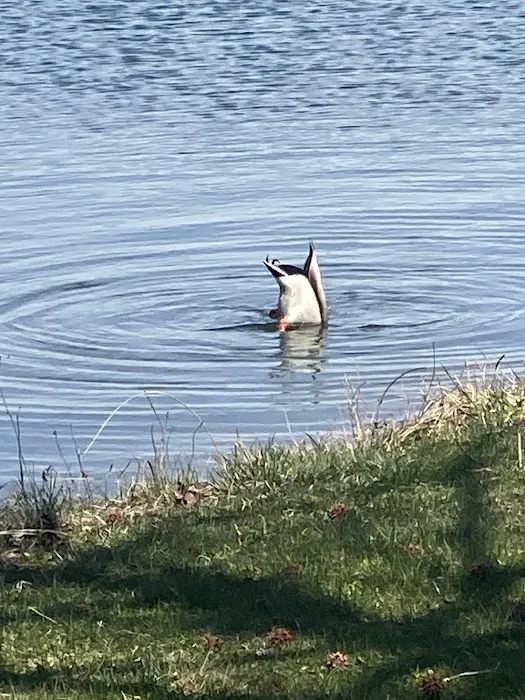 Southeast Conservation Club Picture 8