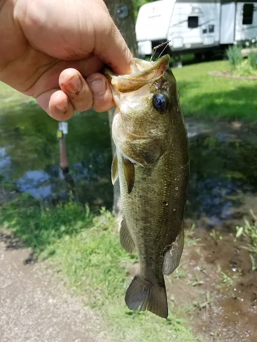 Southeast Conservation Club Picture 6