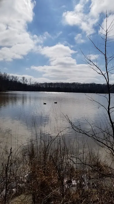 A.W. Marion State Park Campground Picture 2