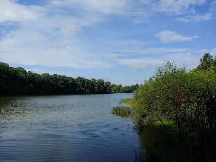 A.W. Marion State Park Campground Picture 4