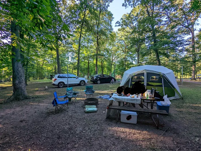 A.W. Marion State Park Campground Picture 7