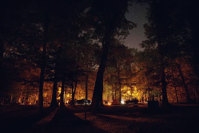 A.W. Marion State Park Campground Picture 9