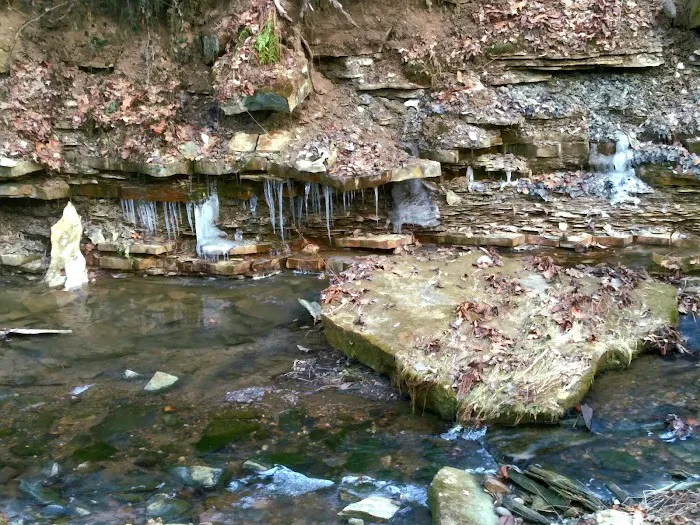 A.W. Marion State Park Campground Picture 6
