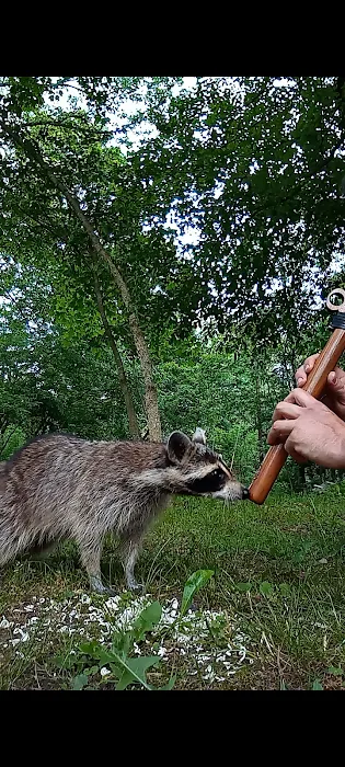 Turtle Bend, Camping and Events Picture 7