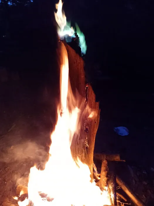 Turtle Bend, Camping and Events Picture 1