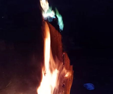 Turtle Bend, Camping and Events