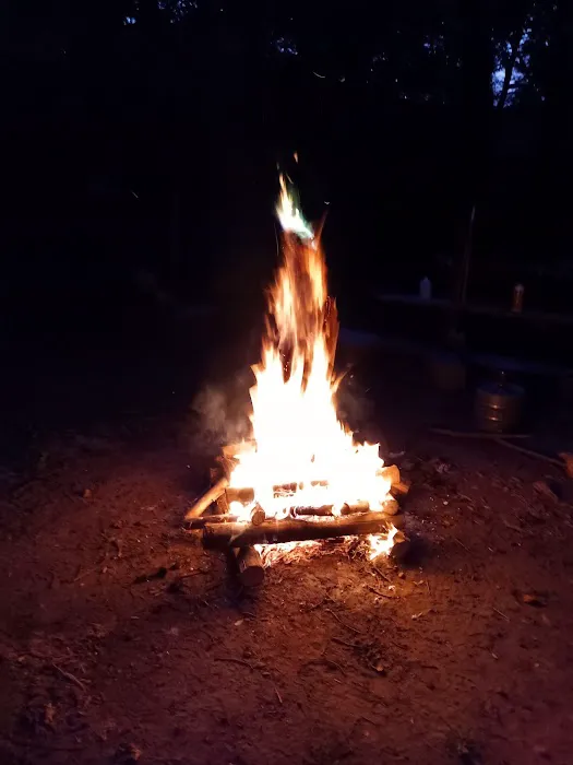 Turtle Bend, Camping and Events Picture 3