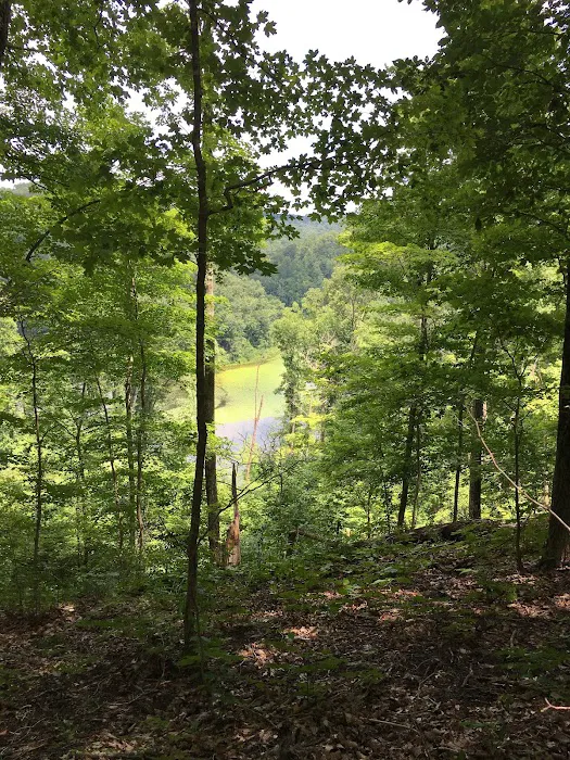 Oak Hill Campground Picture 9