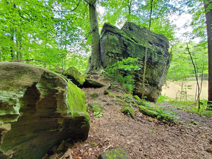 Oak Hill Campground Picture 5