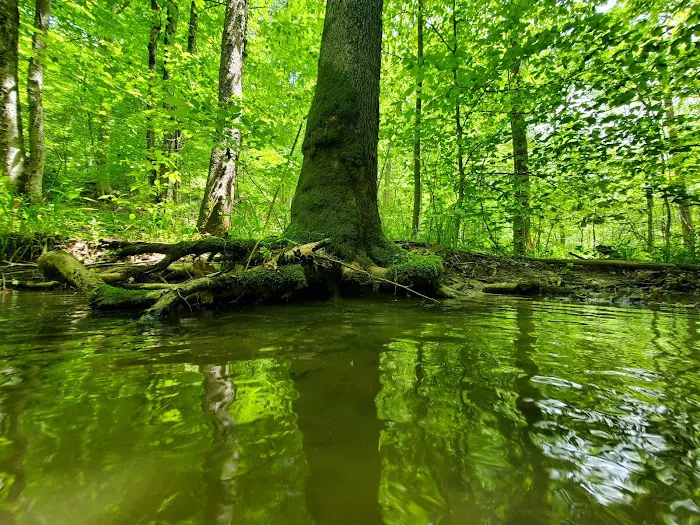 Oak Hill Campground Picture 3