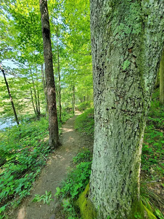 Oak Hill Campground Picture 10