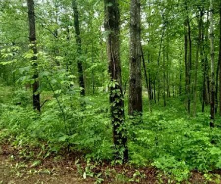 Iron Ridge Campground