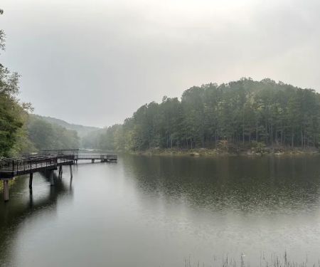 Lake Vesuvius Picnic Areas - Furnace Shelter