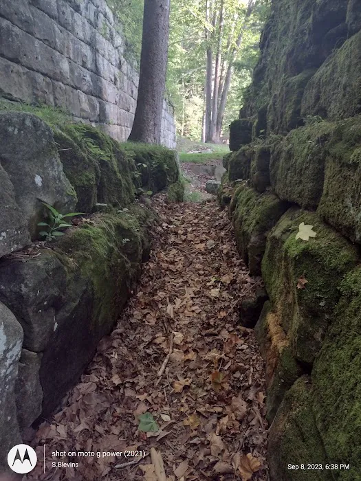 Lake Vesuvius Picnic Areas - Furnace Shelter Picture 7