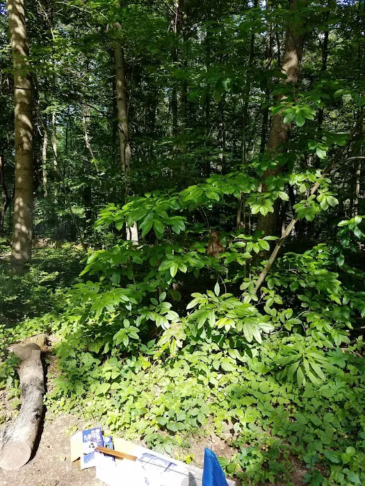 Hocking Hills Group Camping Picture 5