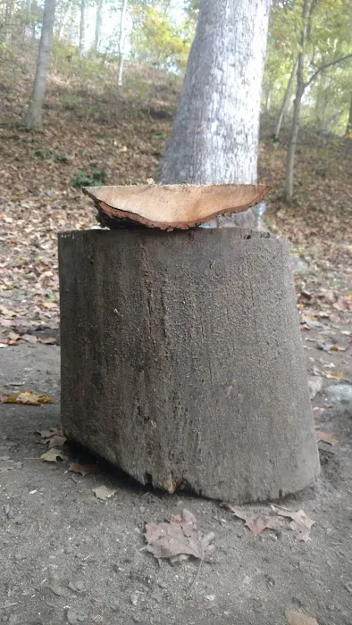 Knox Acres Campgrounds Picture 5