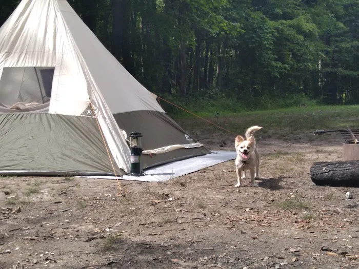 Hocking Hills Organized Youth Campground Picture 3
