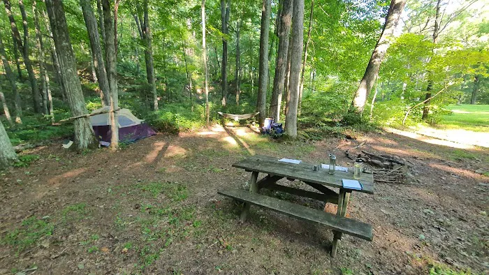 Dullen Loop Campsite Picture 1