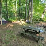 Dullen Loop Campsite