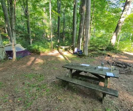Dullen Loop Campsite
