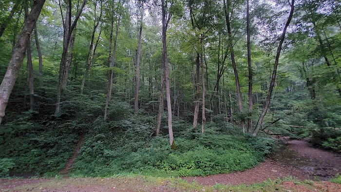 Tar Hollow State Park Logan Hollow Campground Picture 1