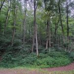 Tar Hollow State Park Logan Hollow Campground