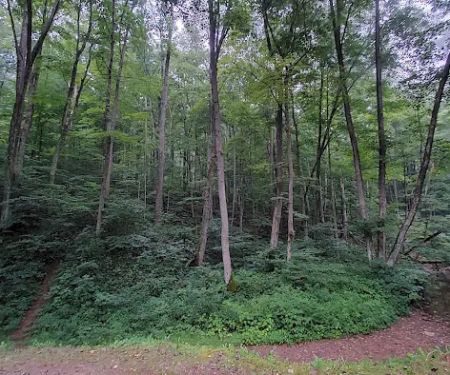 Tar Hollow State Park Logan Hollow Campground