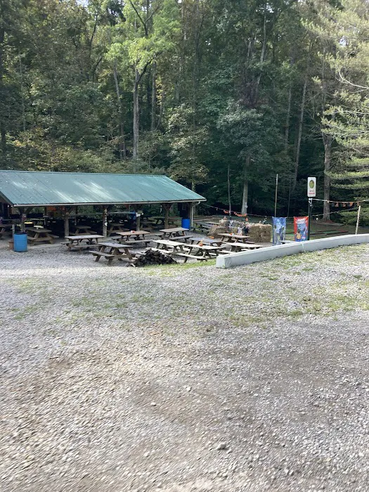 Lost Hollow Picture 4