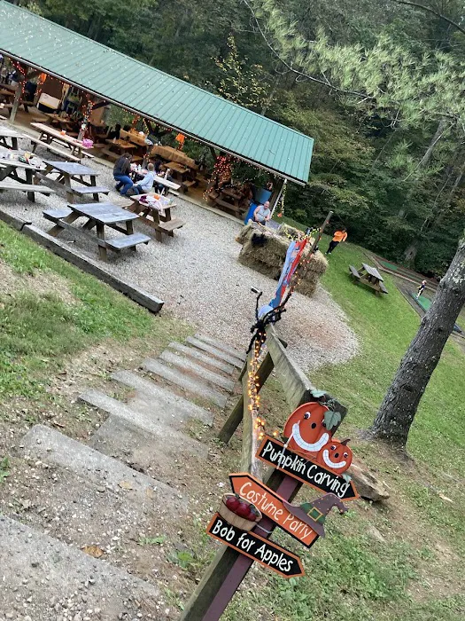 Lost Hollow Picture 10