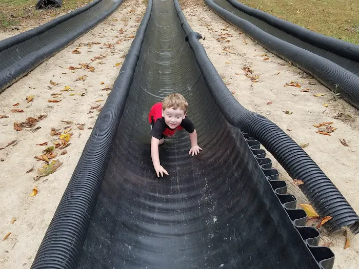 Ole Henry's Camping Retreat Picture 3