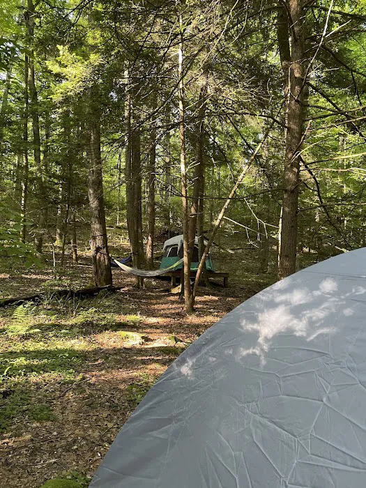 New River Gorge Campground - American Alpine Club Picture 8