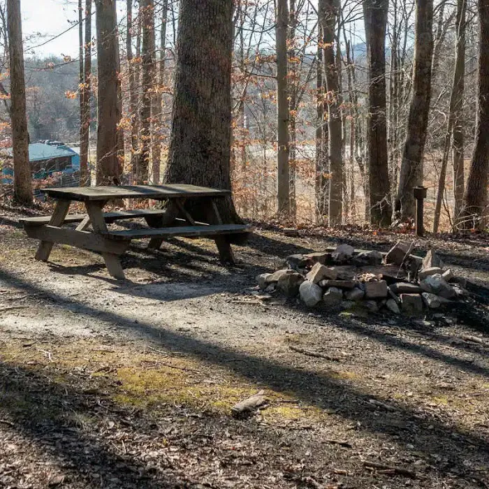 Bear Mountain Cabins & Campground Picture 7