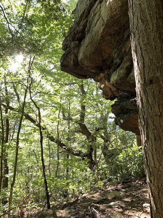 NPS Burnwood Group Campground Picture 7