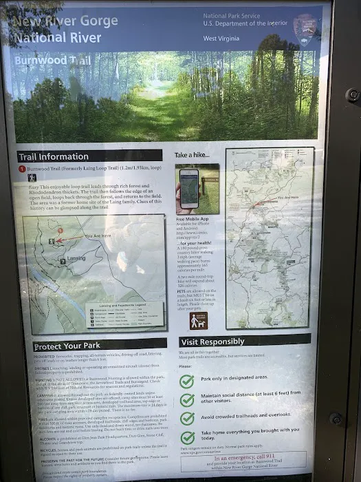 NPS Burnwood Group Campground Picture 2