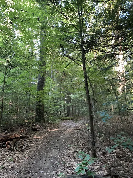 NPS Burnwood Group Campground Picture 9