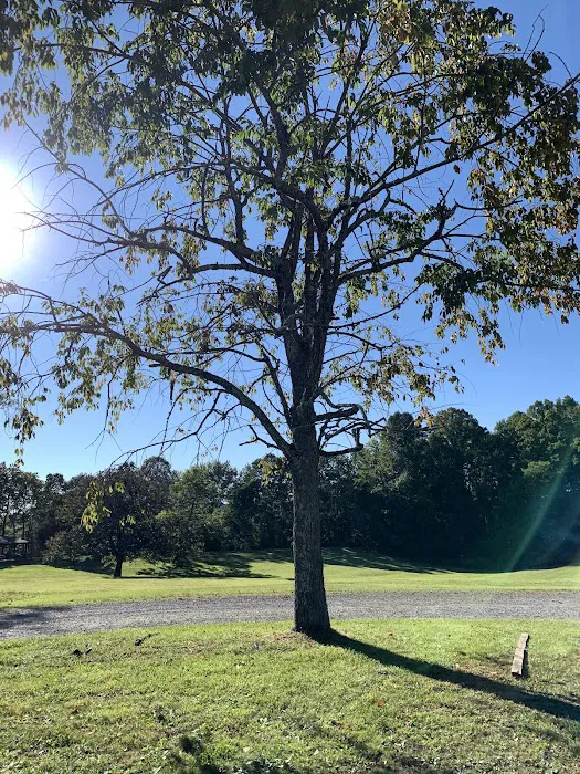 NPS Burnwood Group Campground Picture 5