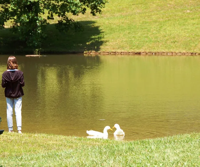 New River Gorge Campground Picture 8