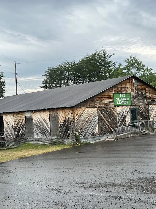 New River Gorge Campground Picture 9